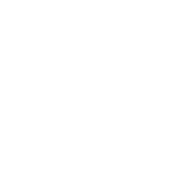 Technology Architecture Consulting